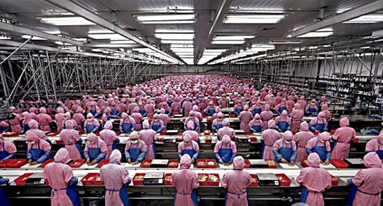 苹果公司制造厂房装修是怎么样的?